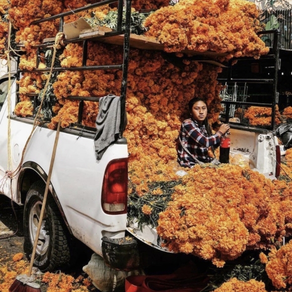 🧡❤️💗🐚Free Seashells🐚💖❤️🧡 - Picture 4 of 16